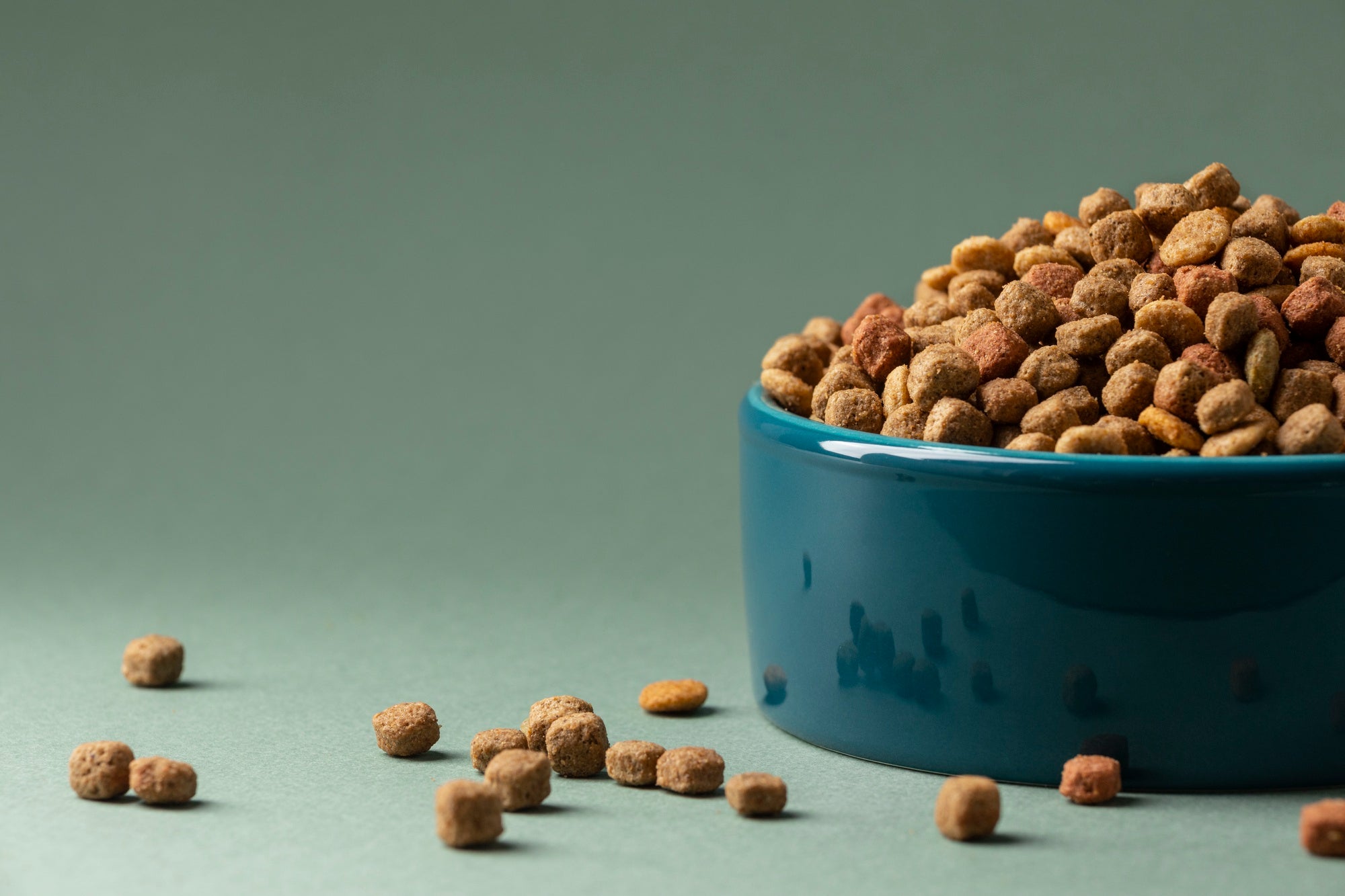 Bowls & Feeders