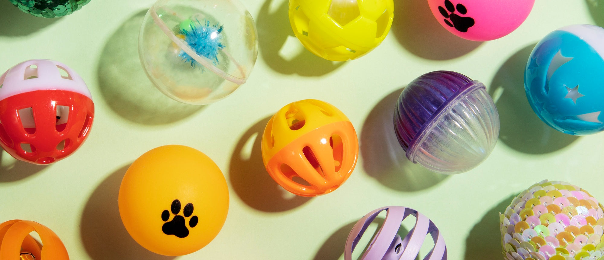 Interactive Toys