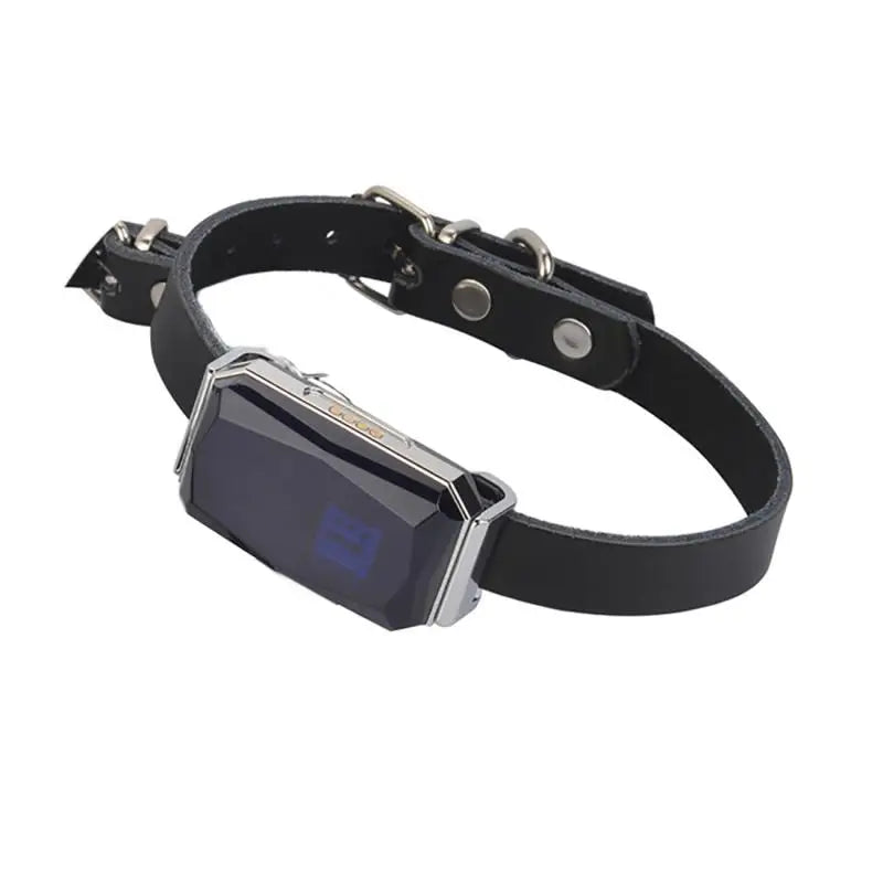 Collier GPS pour animaux de compagnie SafeTrack™