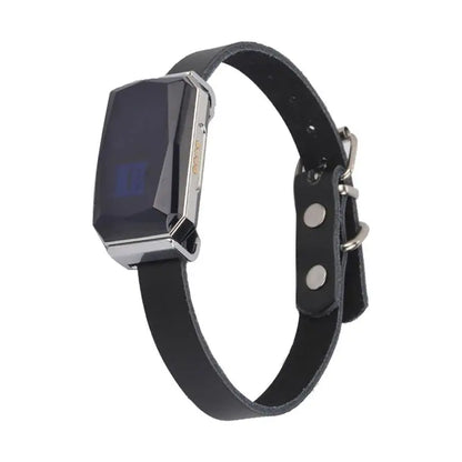 Collier GPS pour animaux de compagnie SafeTrack™