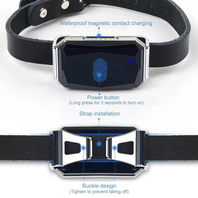 Collier GPS pour animaux de compagnie SafeTrack™