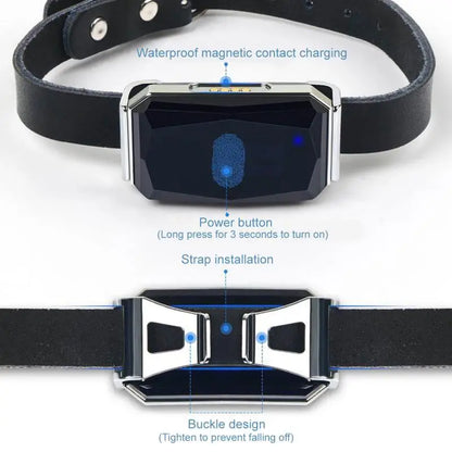 Collier GPS pour animaux de compagnie SafeTrack™