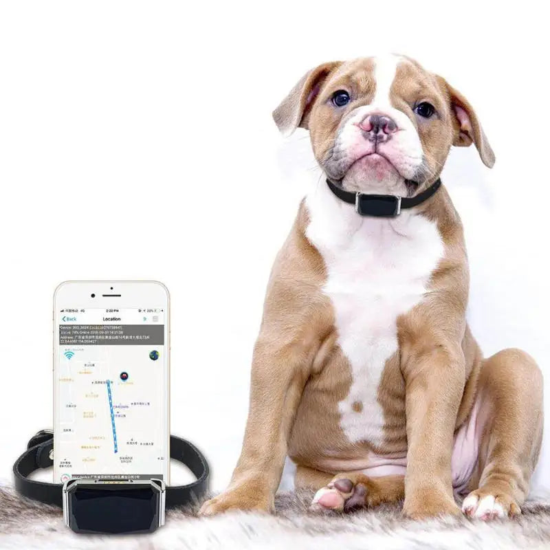 Collier GPS pour animaux de compagnie SafeTrack™