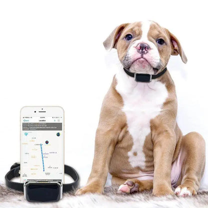 Collier GPS pour animaux de compagnie SafeTrack™