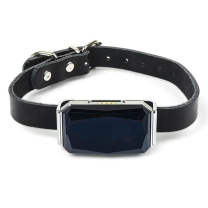 Collier GPS pour animaux de compagnie SafeTrack™