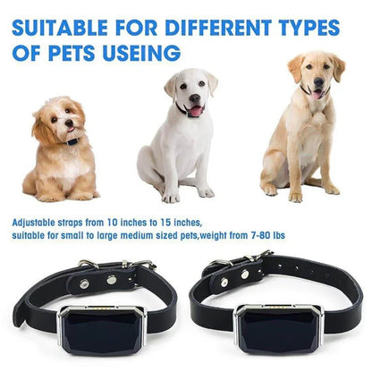 Collar rastreador GPS inteligente GeoPaw™