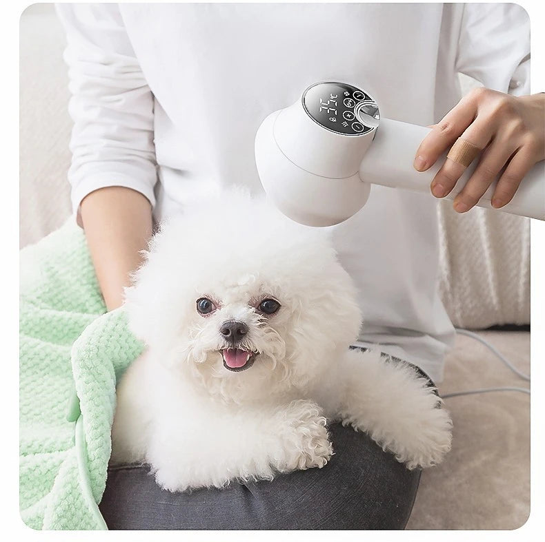 Secador de pelo inteligente para mascotas AirCoat™