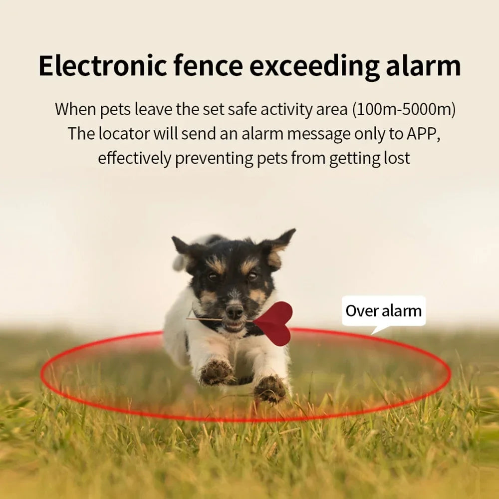 Collar rastreador GPS inteligente GeoPaw™