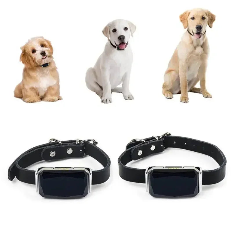 Collier GPS pour animaux de compagnie SafeTrack™