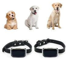 Collar GPS para mascotas SafeTrack™
