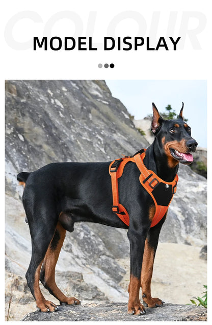 Arnés táctico reflectante para perros ArmorLead™