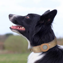 Collar reflectante AirTag TrackGuard™ para perros