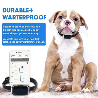 Collar rastreador GPS inteligente GeoPaw™