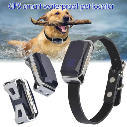 Collar rastreador GPS inteligente GeoPaw™