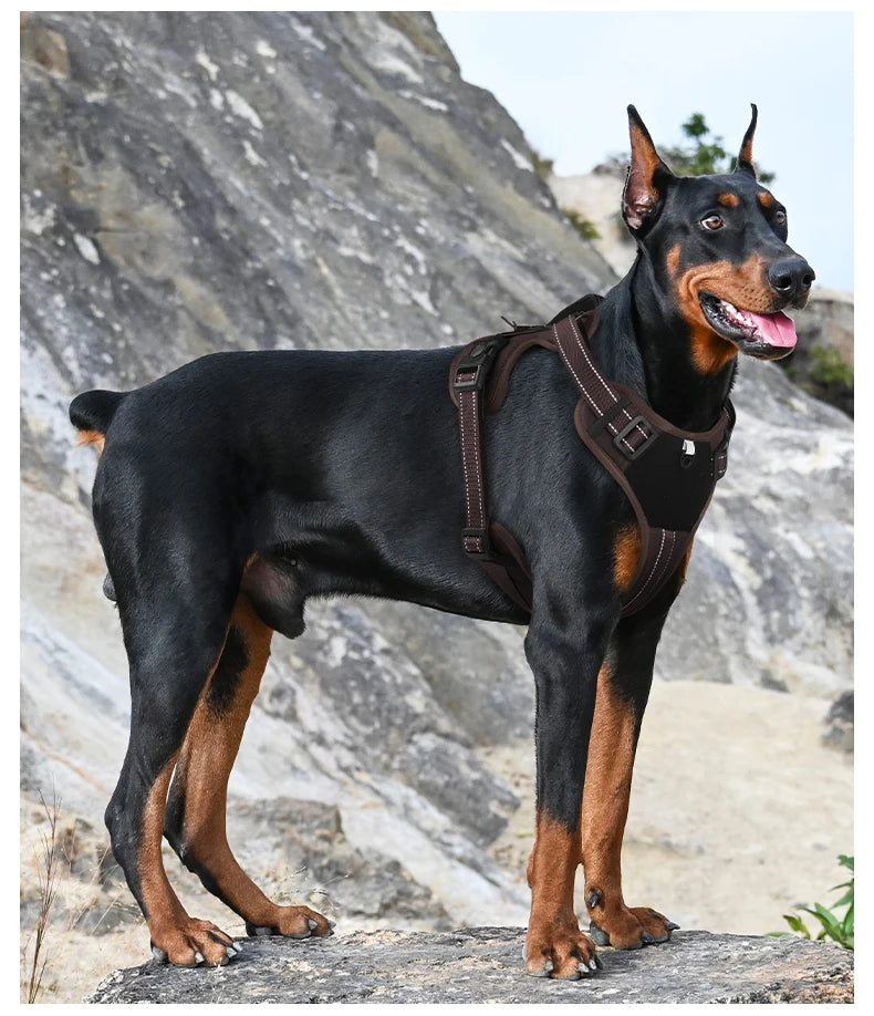 Arnés táctico reflectante para perros ArmorLead™