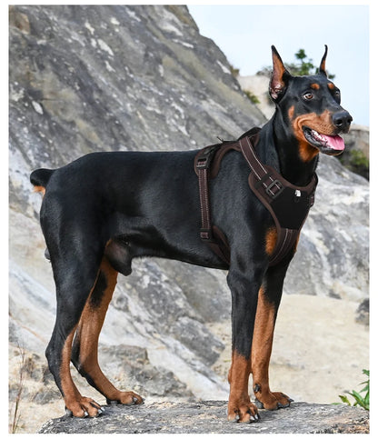 Arnés táctico reflectante para perros ArmorLead™