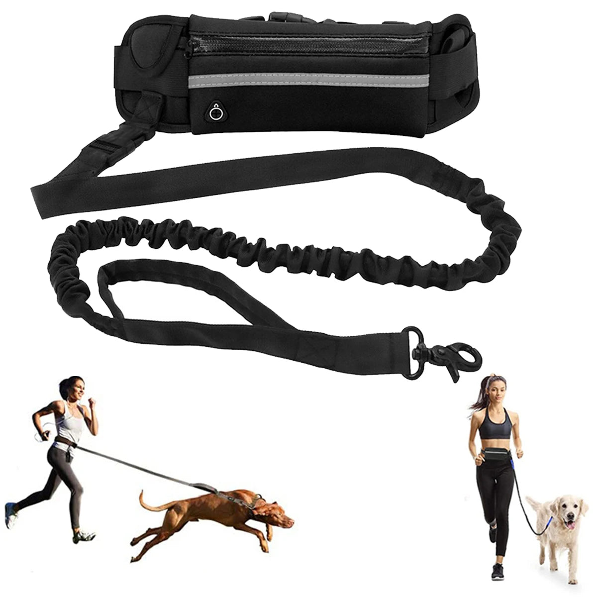 Correa para perros manos libres RunMate™