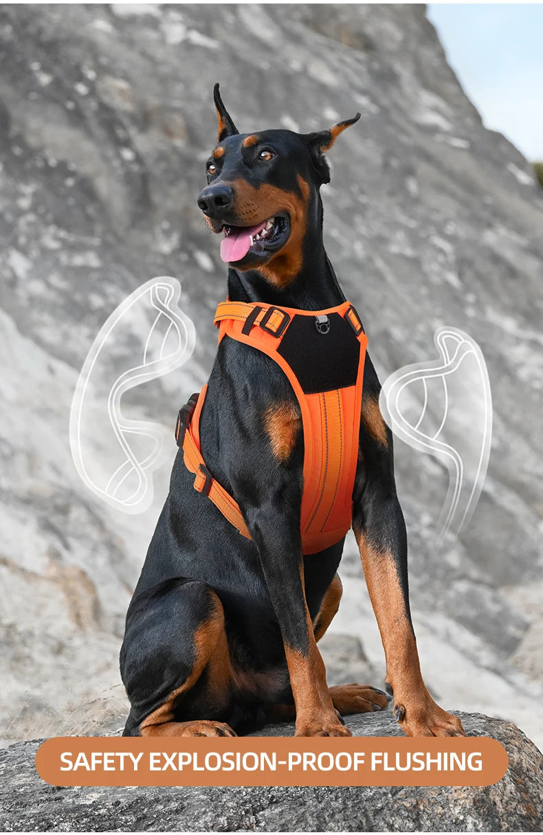 Arnés táctico reflectante para perros ArmorLead™