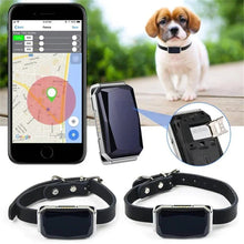 Collar rastreador GPS inteligente GeoPaw™