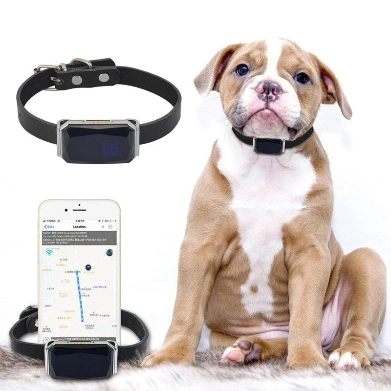 Collier GPS pour animaux de compagnie SafeTrack™