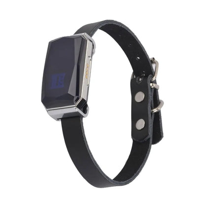 Collar rastreador GPS inteligente GeoPaw™