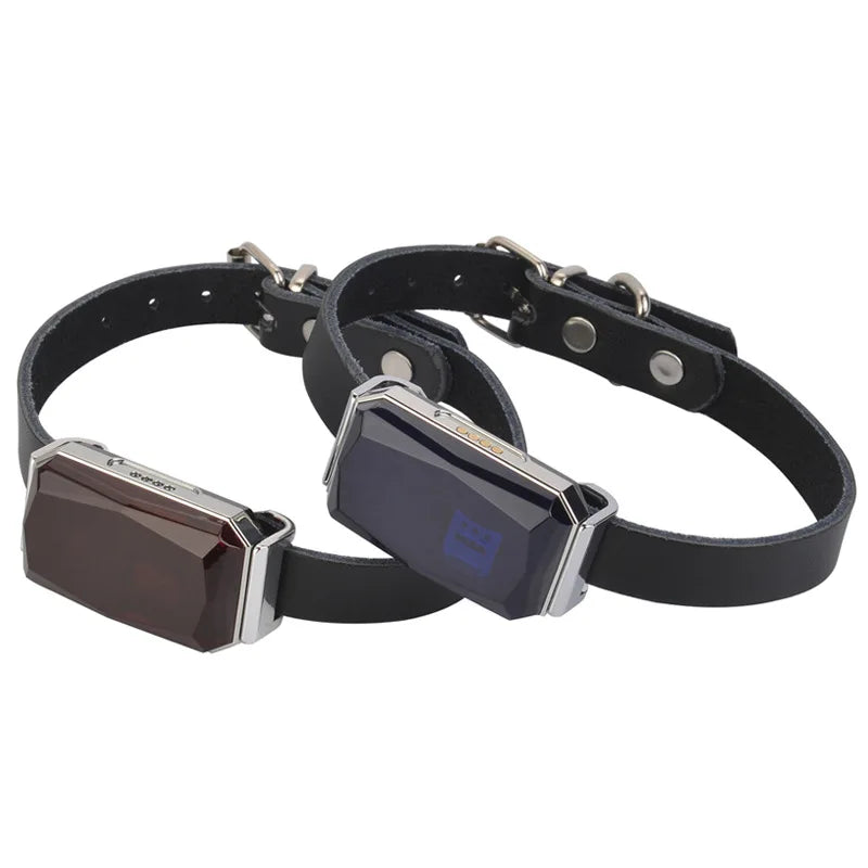 Collar rastreador GPS inteligente GeoPaw™