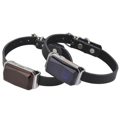 Collar rastreador GPS inteligente GeoPaw™