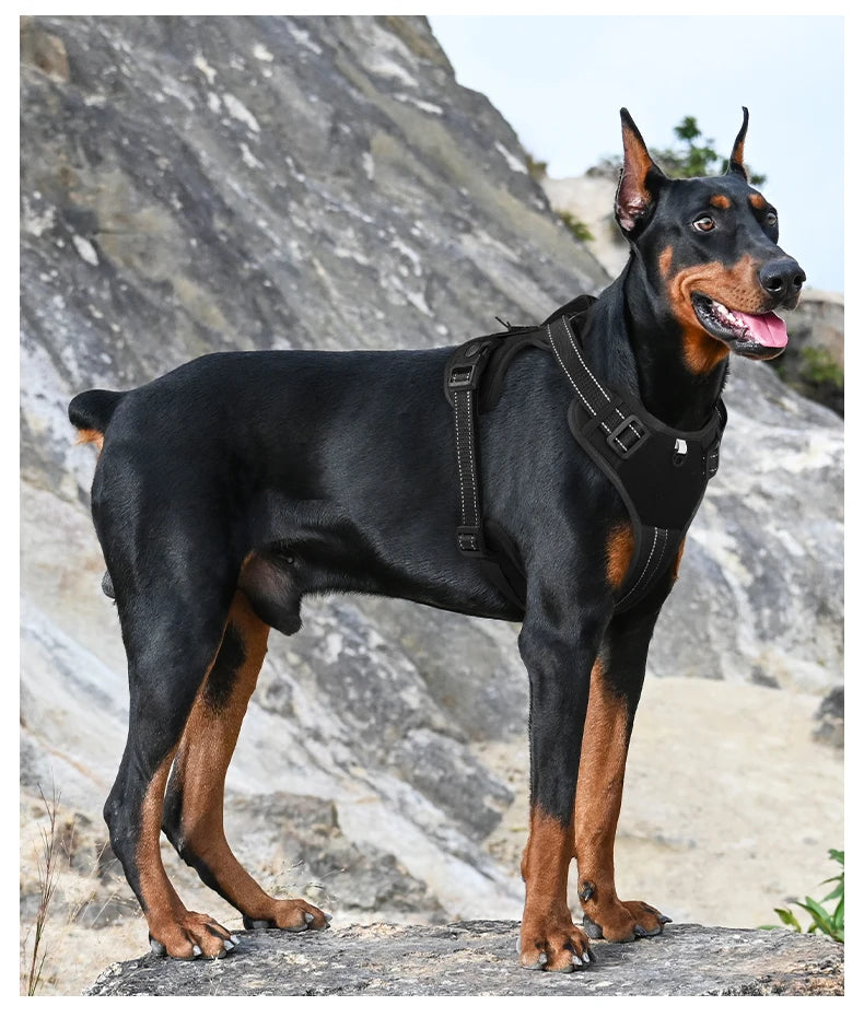 Arnés táctico reflectante para perros ArmorLead™