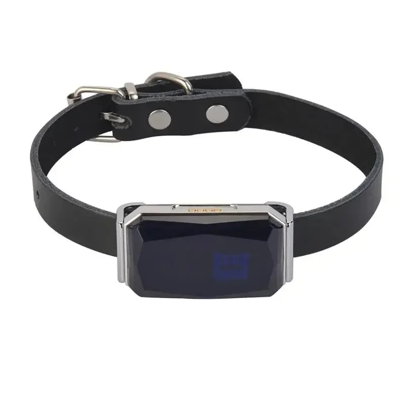 Collier GPS pour animaux de compagnie SafeTrack™