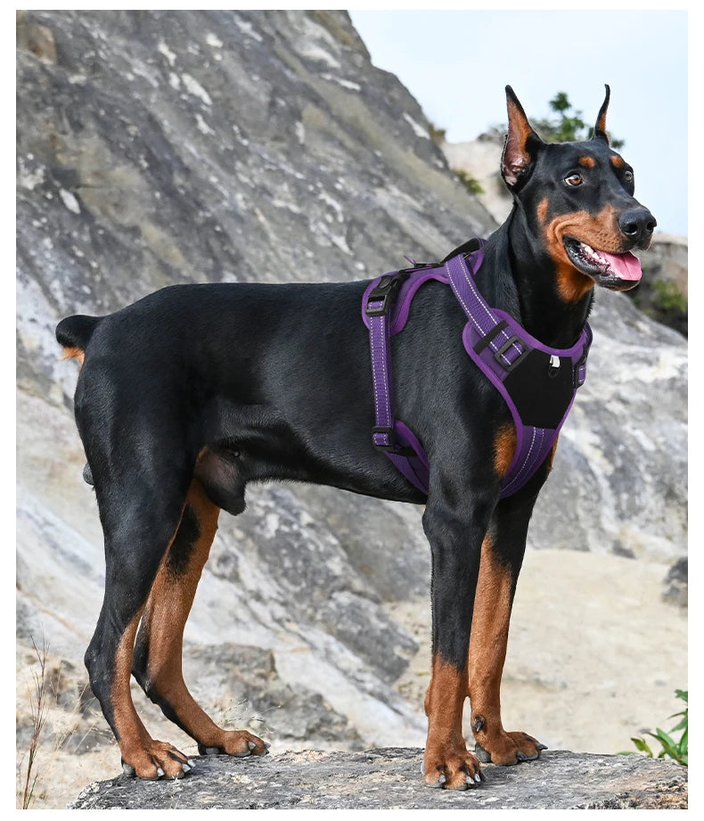 Arnés táctico reflectante para perros ArmorLead™