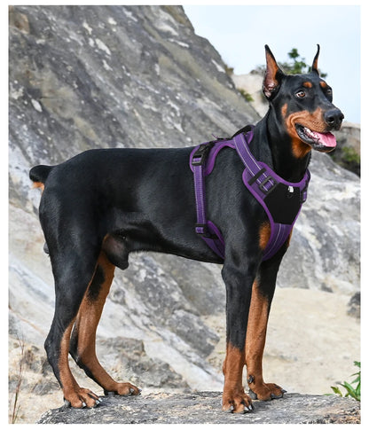 Arnés táctico reflectante para perros ArmorLead™