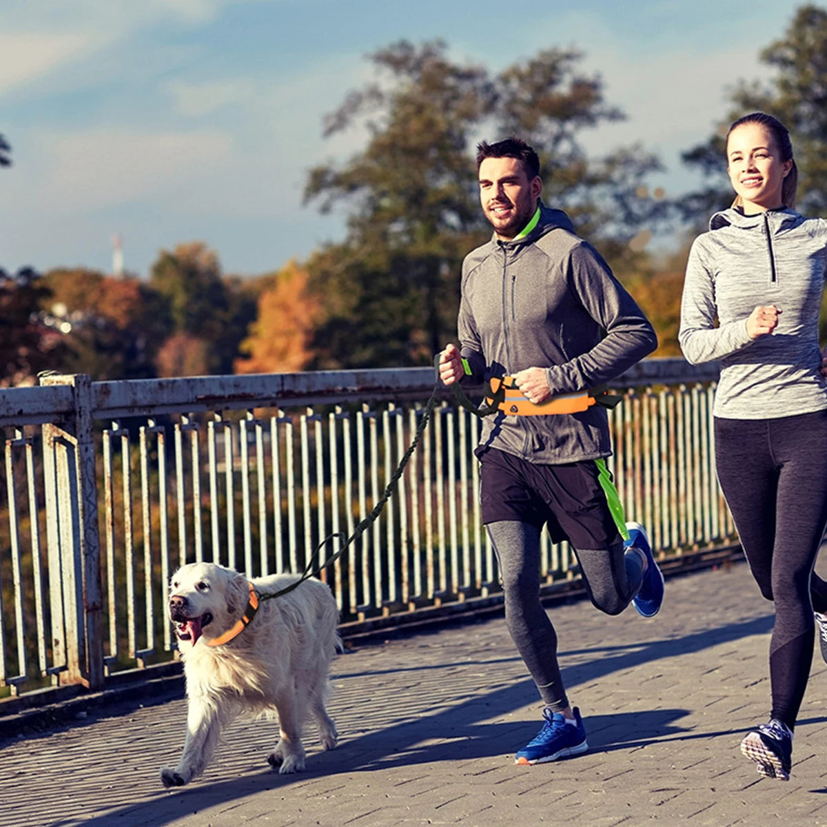 Correa para perros manos libres RunMate™