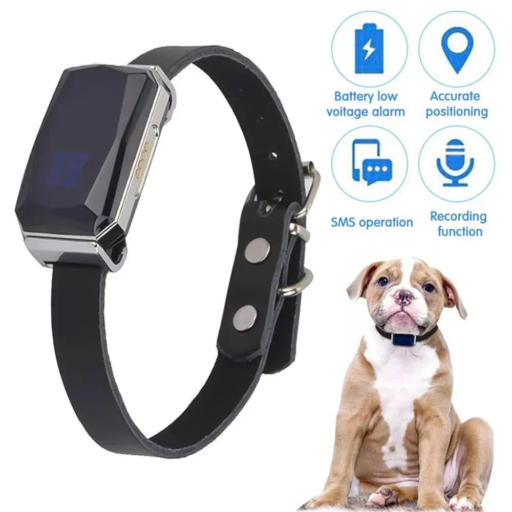 Collar rastreador GPS inteligente GeoPaw™