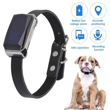 Collar rastreador GPS inteligente GeoPaw™