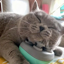 Masajeador eléctrico para mascotas PurrRelief™
